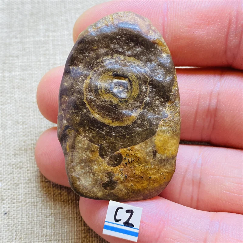 Rare Natural Gobi Stone Sardonyx Agate Palm Hand Play Witchcraft Meditation Spiritual Decor Crystals Healing - view 3