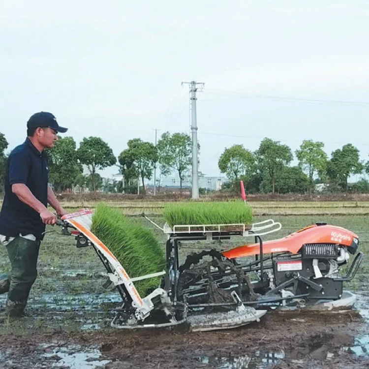 Hot Selling Easy to Operate Hand Held Walking Type 4 Rows Rice Transplanter