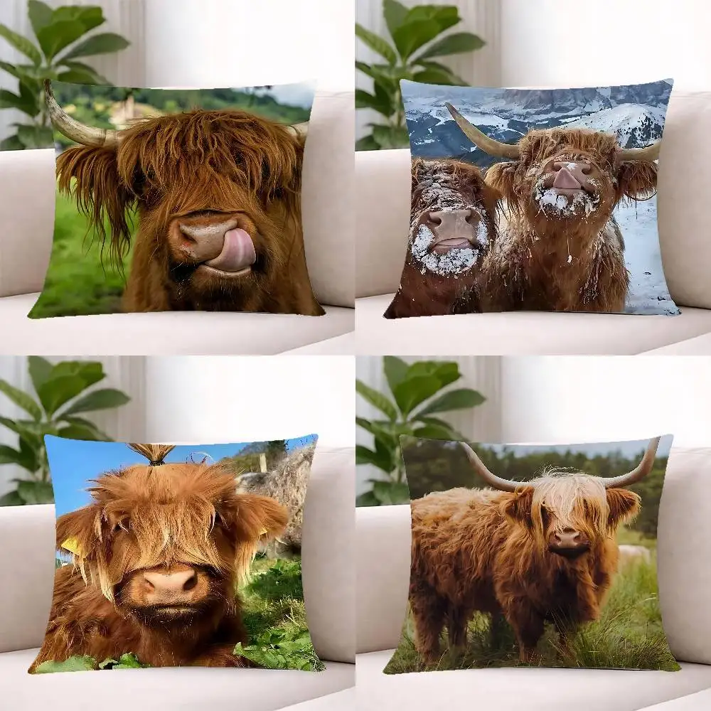 Scottish Highland Cat Cow Pillow Case Cushion Cover Soft Cute Throw Pillow Case For Car Sofa Pillowcase Polyester With Zipper