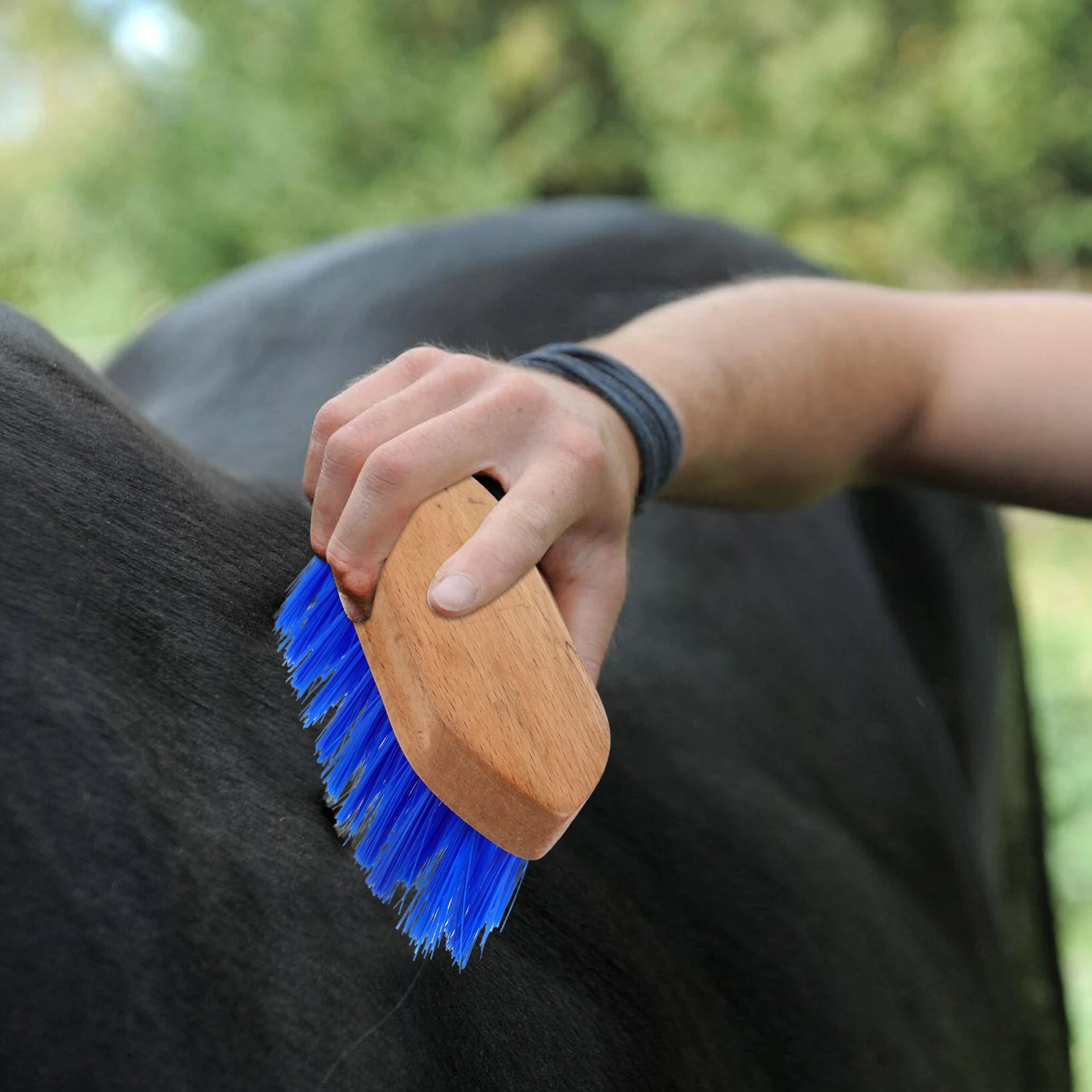 

Horse Grooming Brush Blue 15 5x5 5cm Wood Bristle Remove Mud Sweat Dirt Pet Horse Hair Comb Cleaning Tool Accessory Lightweight