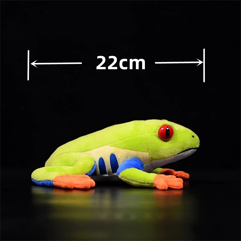 Peluche grenouille arbre aux yeux rouges, 22cm, jouet kawai, animaux réalistes, jeu de simulation, jeu mignon, idée cadeau