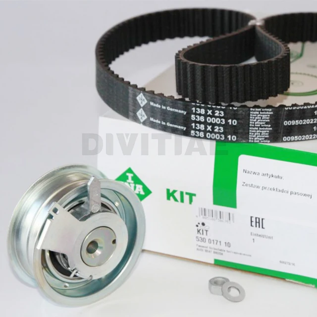 06A198119D 06A198119 INA 530017110 Timing belt kit For vw GOLF passat skoda OCTAVIA SUPERB FABIA seat IBIZA LEON ALTEA 1.6 2.0