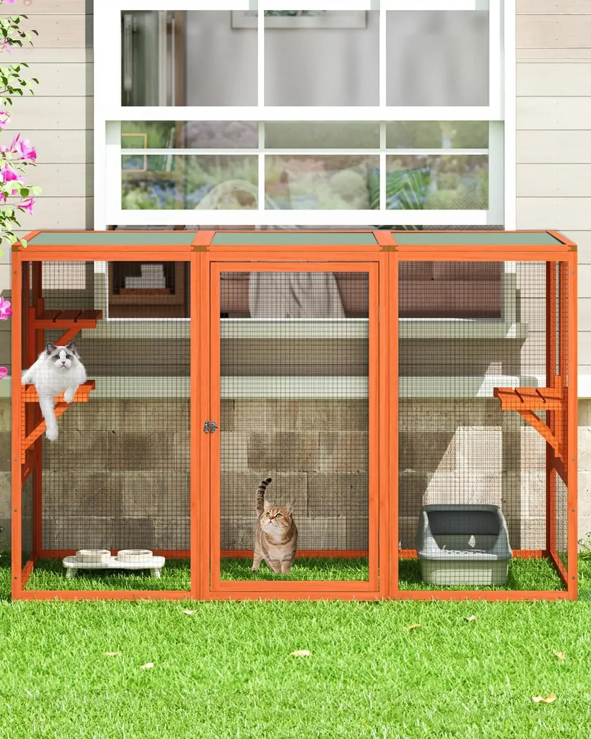 Outdoor Cat Enclosure,71