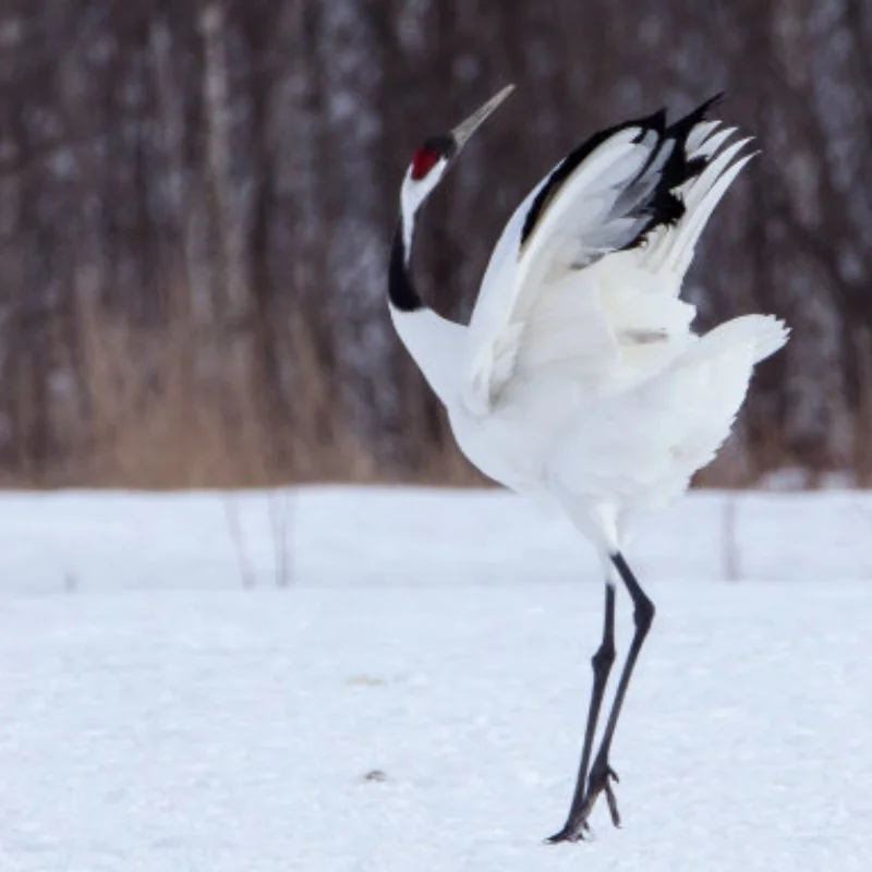 

RGT 86100 1/10 RC Car spare parts gear Shell column Drive shaft Pull rod tires Shock absorber Rearview mirror wiper set