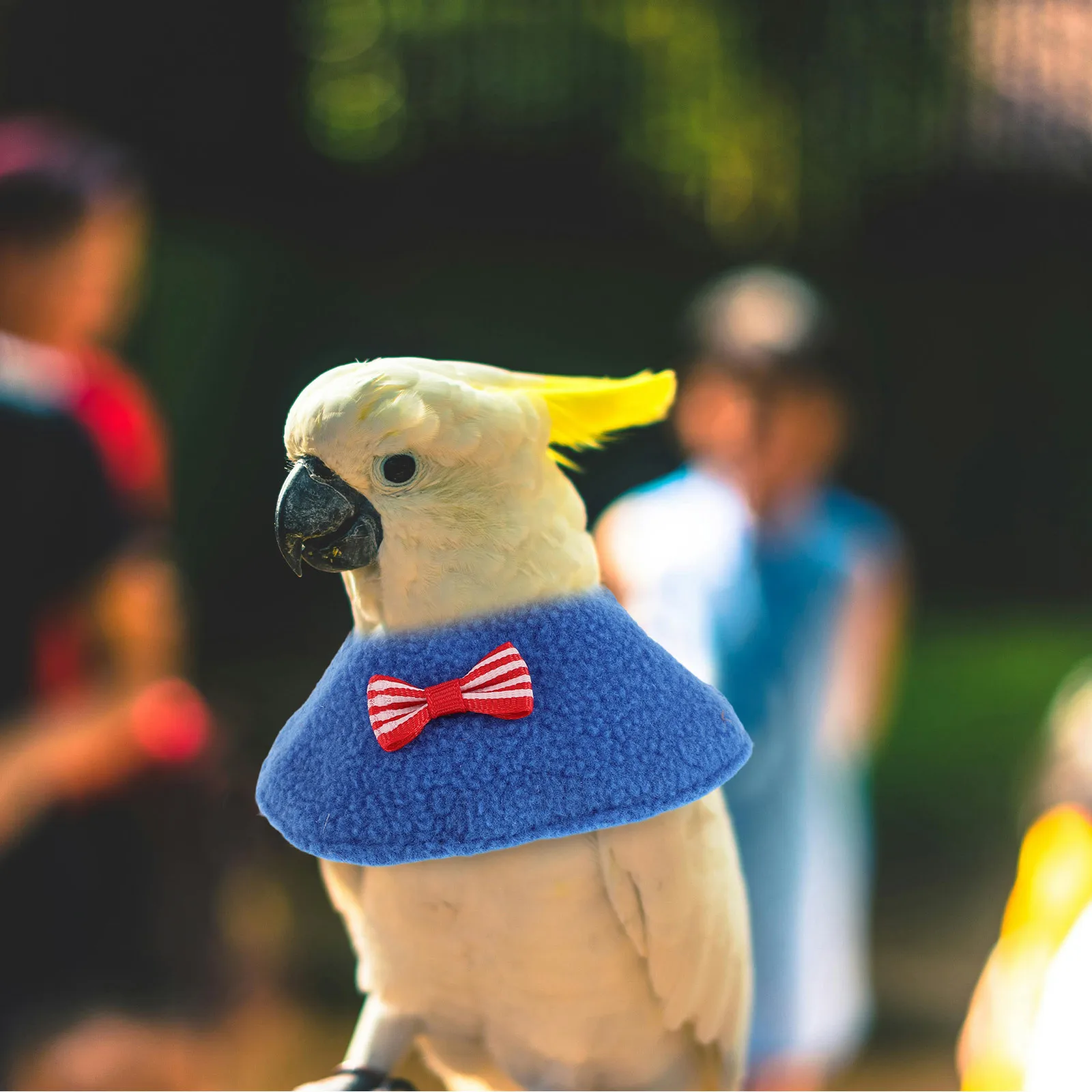 

7pcs Pet Protection Collar: Anti-Plucking Bird Neck Shield For Parrots Recovery Windproof Full Body Cape Elizabethan Cone