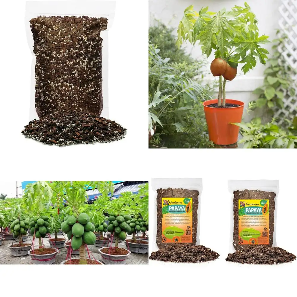 

All-Natural Potting Soil for Healthy Papaya Plants - Promotes Root Growth and Fruit Production - 10 Quart