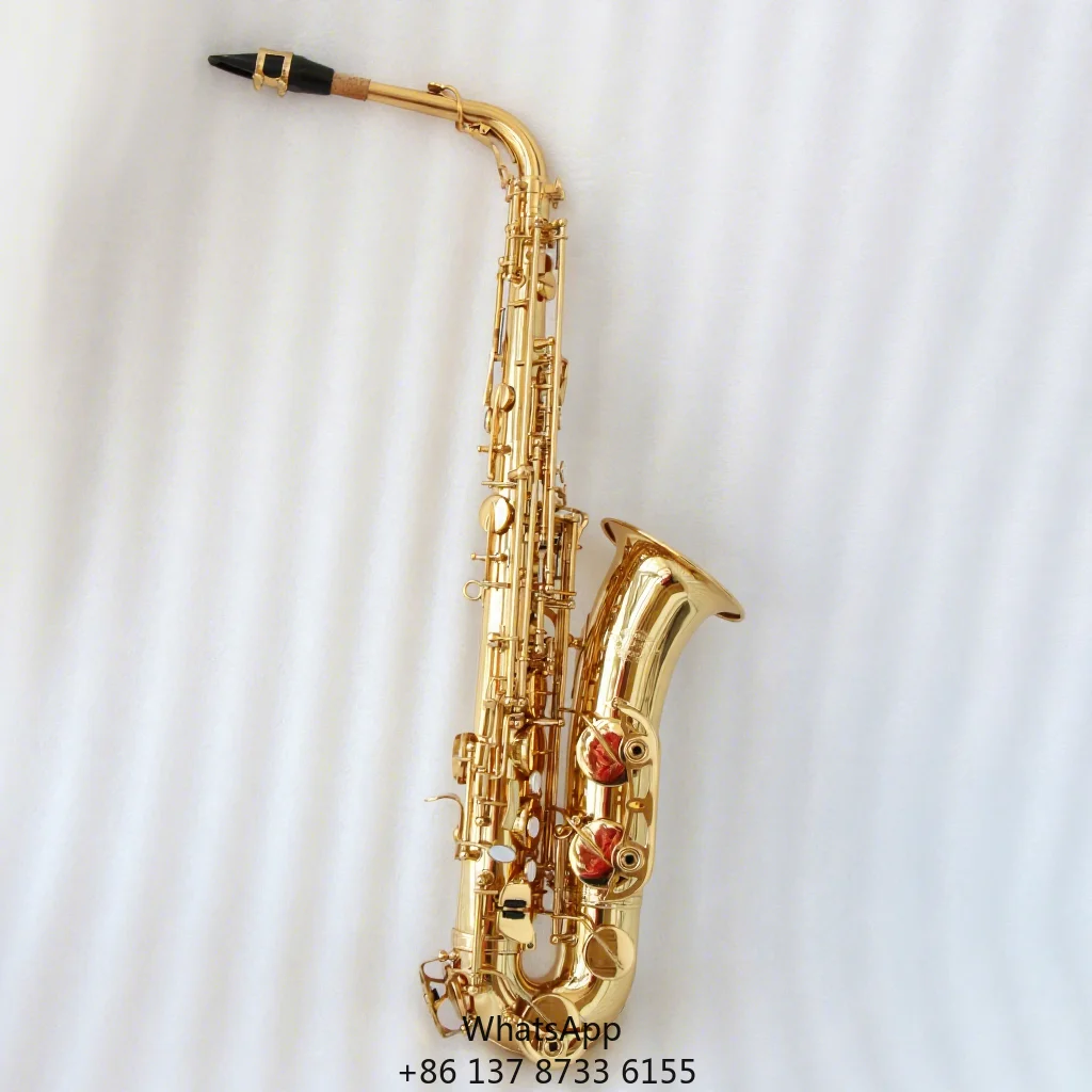 

Factory Direct Sales Of Focustyle C Melody Saxophone Gold Lacquered Brass Model FSC-300 For Professional Players