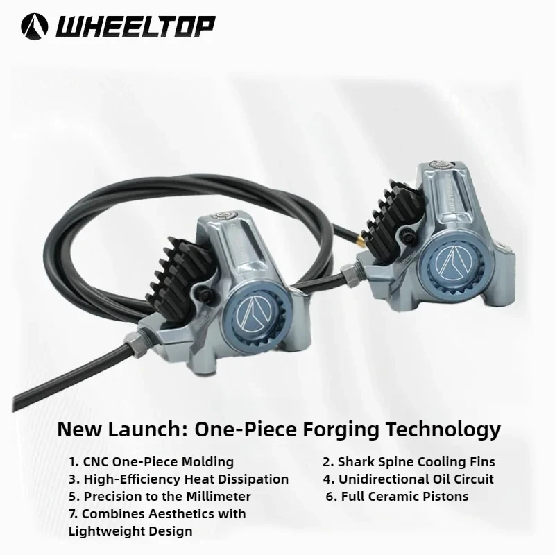 WHEELTOP EDS TX Kabelloses elektronisches Schaltgruppen-Set 7-14 Gänge Carbon-Schaltwerk Große Schaltrolle Scheibenbremse – Detail 7
