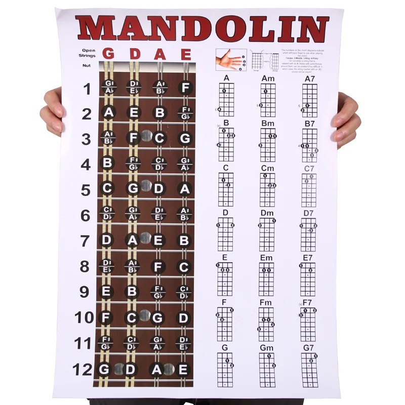 Mandolin Reference Poster Practical Comprehensive Reference Guide Mandolin Learning Tools Concise Fingering Diagram Poster Music