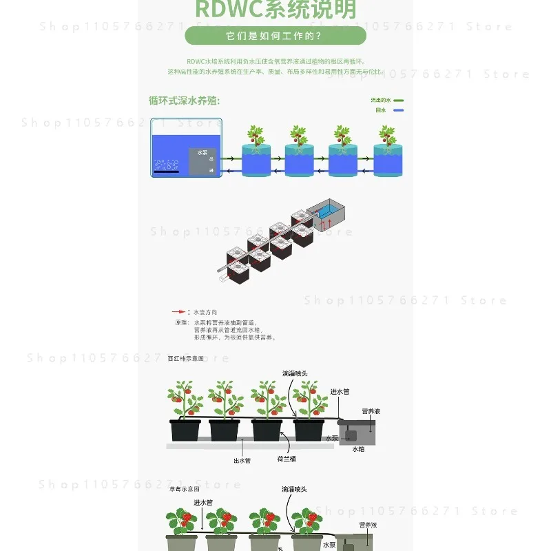 Soilless Equipment  Home Balcony RDWC System  Bucket Planting