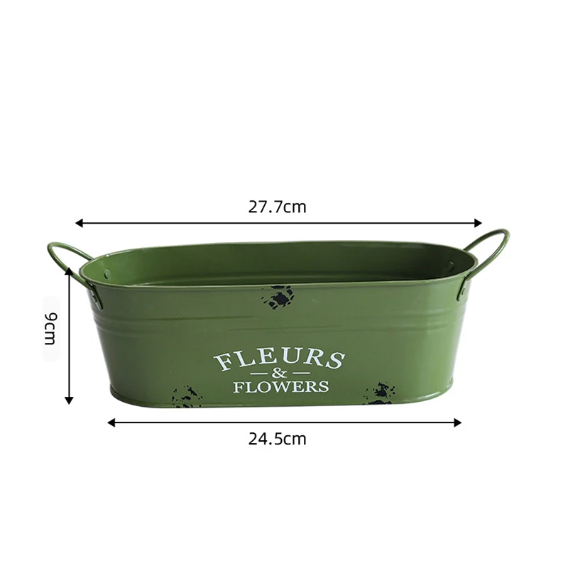Iron oval double ear horseshoe printed basin for home balcony planting succulent green plant set
