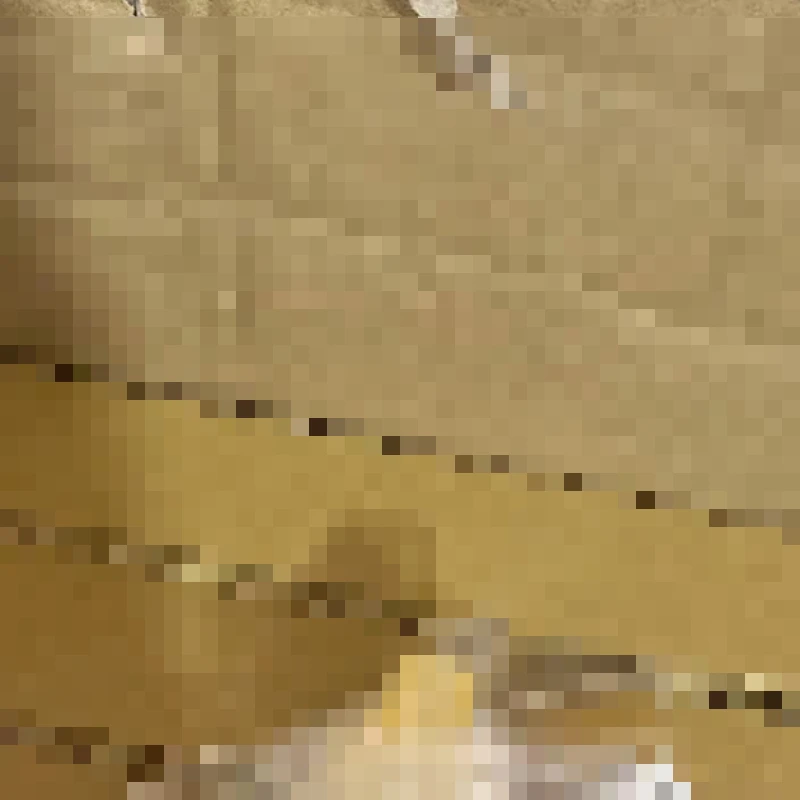 

5X PA03656-K975 PA03656-K976 Выходной ролик подачи для FUJITSU Scansnap IX500 IX1500 N7100 IX1400 IX1600