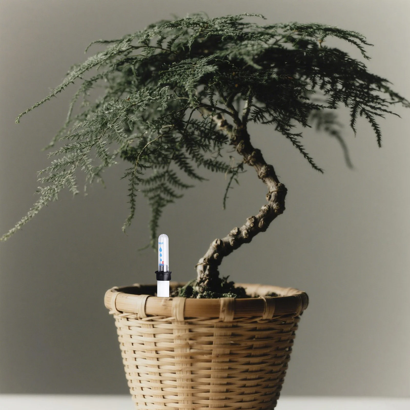 

6Pcs Float Water Display Gauge for Potted Plants Functional Water Level Indicator for Soil Hydration Monitoring