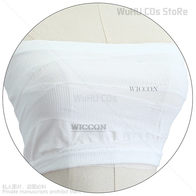 Anime Fairy Cosplay Tail Costume Erza Scarlet Bra Japanese Unisex Uniform Halloween Party Women Wrap Chest Pants Suit wig Tattoo