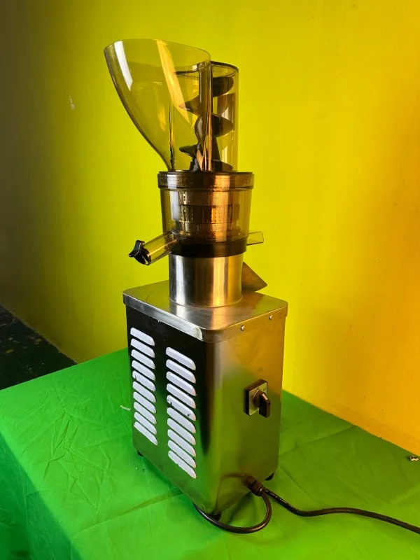 300/500/750W Multifunctional Powerful Slow Speed Fruit and Vegetable Juicer
