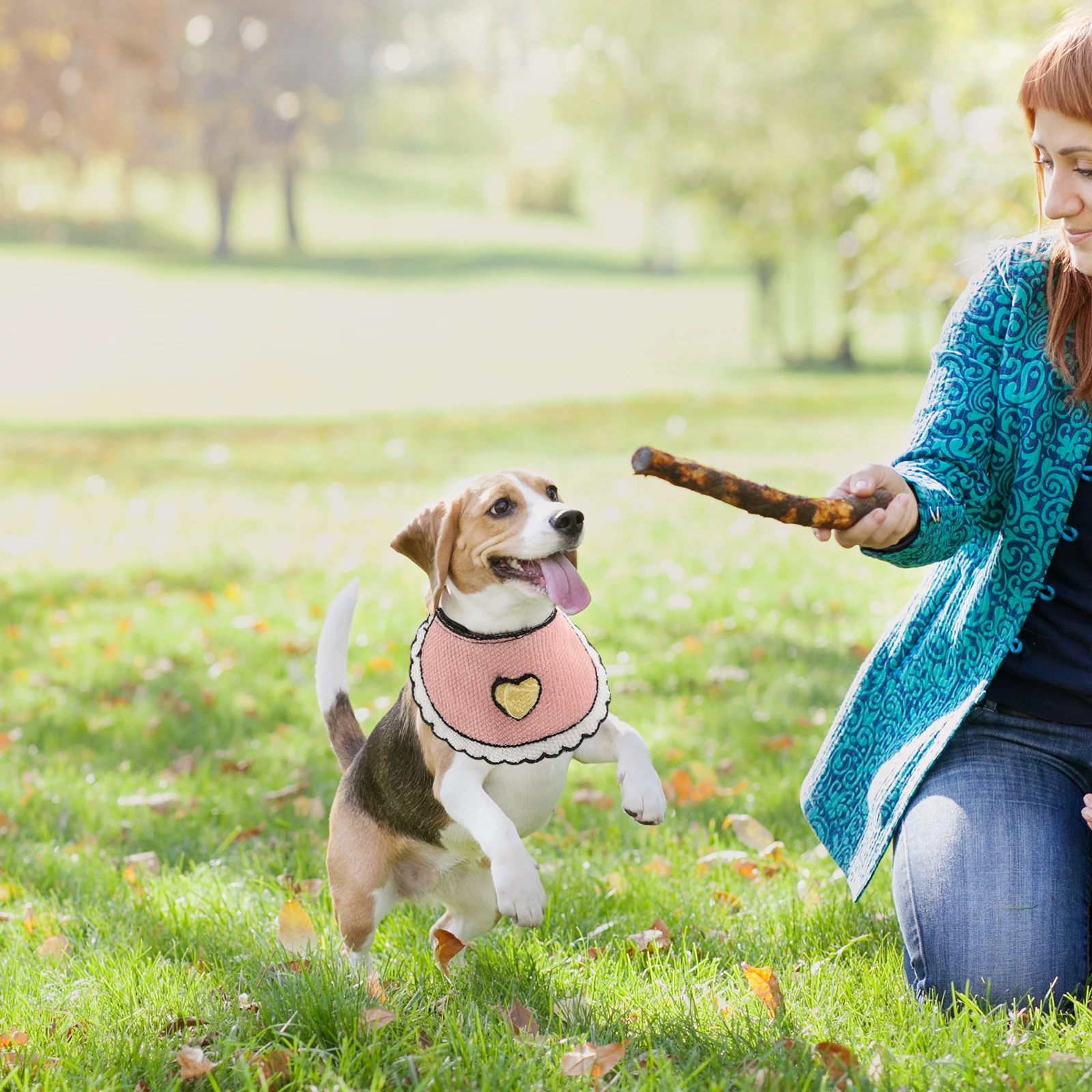 

3pcs Pet Scarves Cute Dog Bibs Colored Puppy Lightweight Durable Comfortable Scarf For Party Festival Outdoor Use Pet