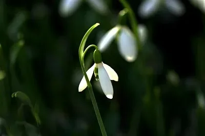 

Metal Upgrade Gearbox Mount for MN 1/12 Tank 300 MN300 RC Car Spare Parts