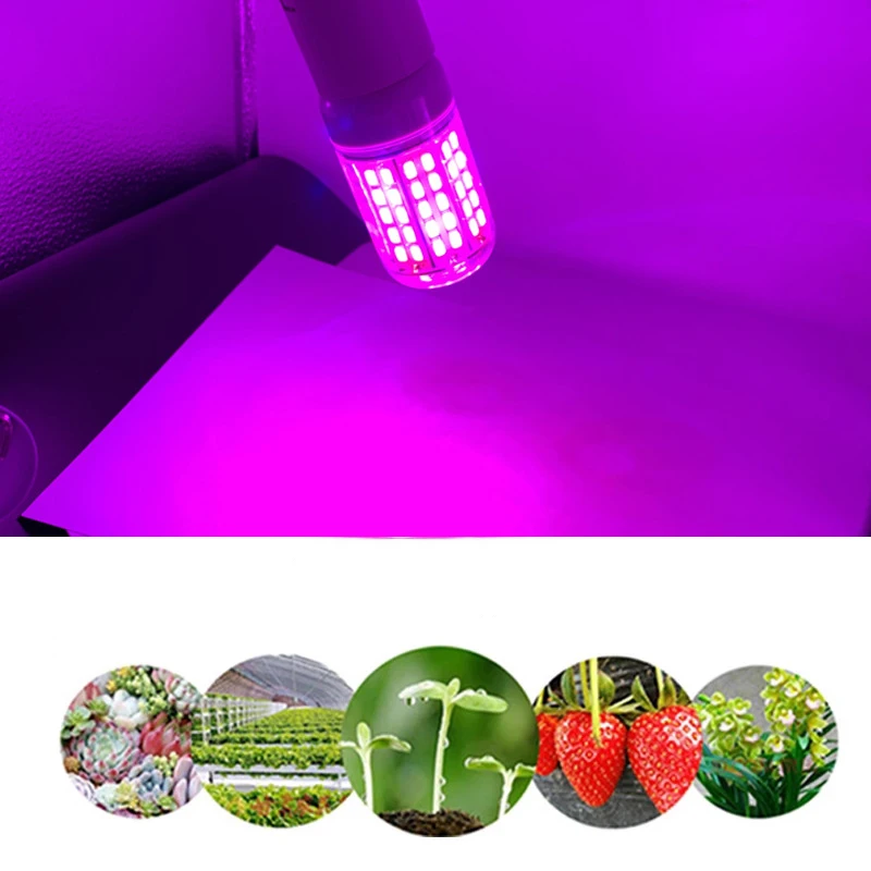 

1pc 10w LED Plant Growth Bulb Light E27 LED Corn Light 96pcs smd5730 Flower Fruit Plant Red +Blue 220v 110v Home