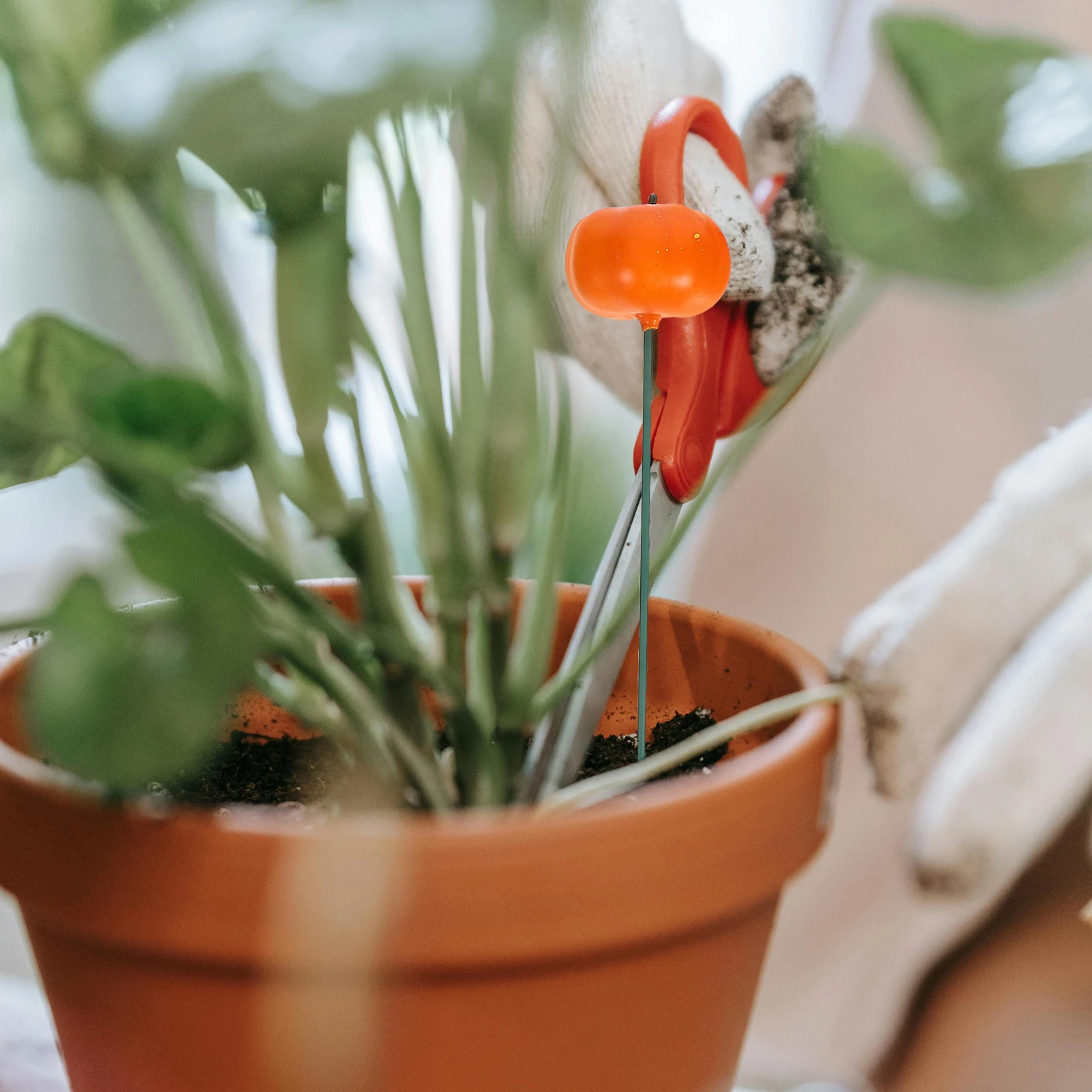 

5Pcs Decorative Garden Stake Realistic Fruit Vegetable Design for Outdoor Yard Flowerpot Planter Ornament Reusable Lifelike