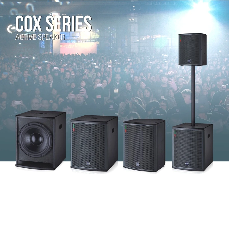 2024 New Trending 12 Inch Super Bass Full Range Multi-functional Line Array Subwoofer Speakers