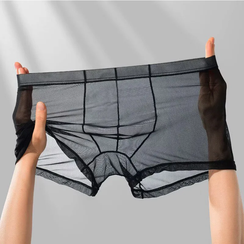 Men's Transparent Ice Silk Boxers Low Waist Bulge Enhancing See Through Sexy Briefs Underwear Lingerie Intimates