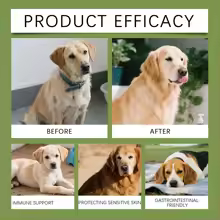 Product 4