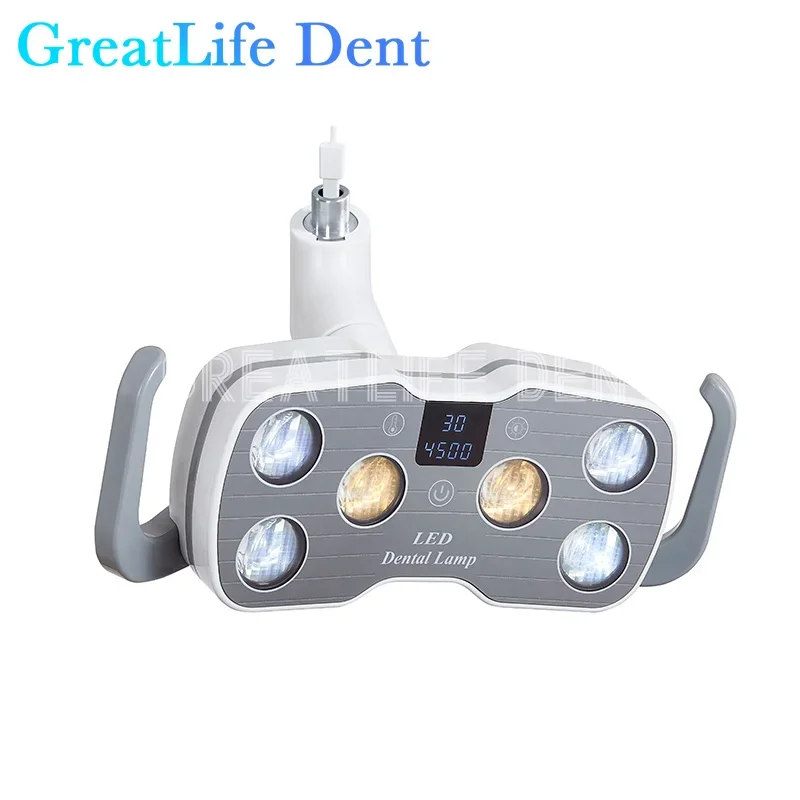 GreatLife-Unidad de silla Dental Dent, lámpara de operación Oral, 6 LED, luz quirúrgica, 9w, 6 Led