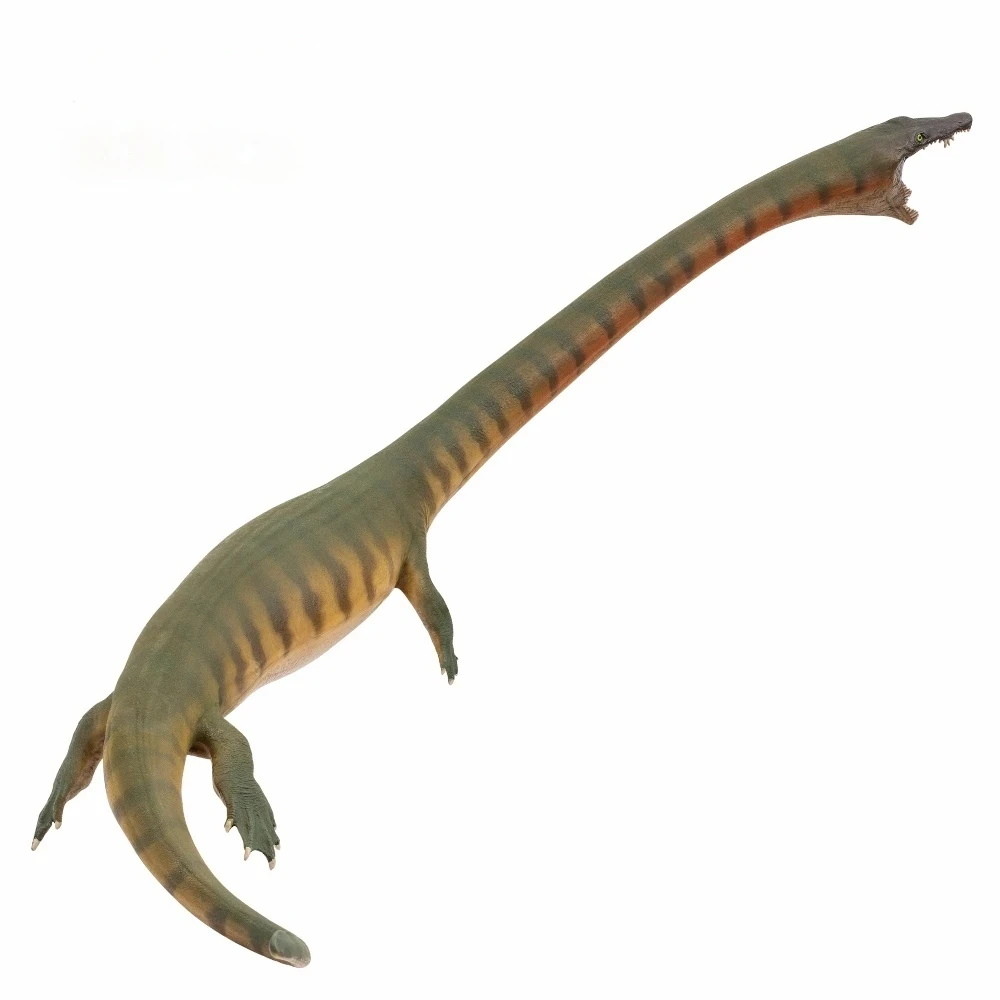 

PNSO Dinocephalosaurus Orientalis 23cm Model Prehistoric Ancient Dinosaur Animal Toy Collectible Guizhouichthyosaurus Tangae