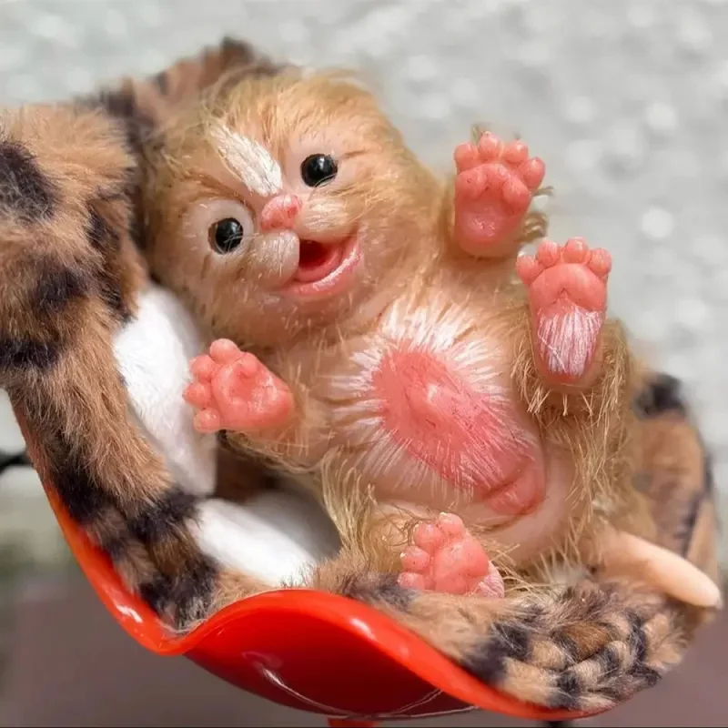 15CM  Vibrant Big Cat Reborn Dolls Painted Realistic Full Body Soft Silicone Reborn Dolls For Kid's Christmas Gift Bebê Reborn