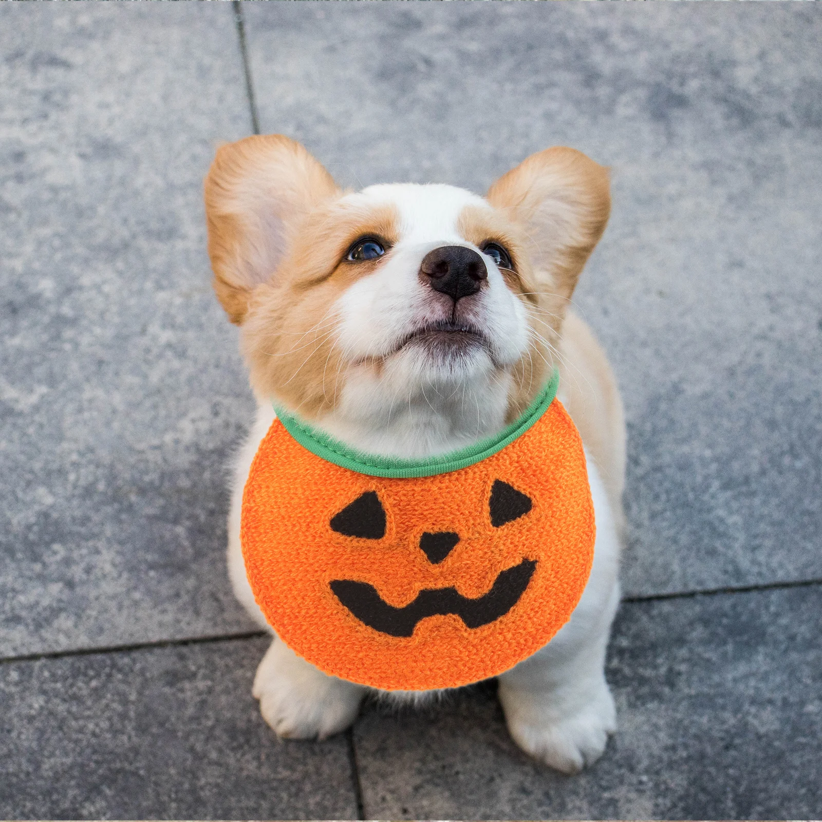 

Adorable Dog Bandana Halloween Pumpkin Theme Comfortable Pet Scarf for Special Occasions and Everyday for Dog