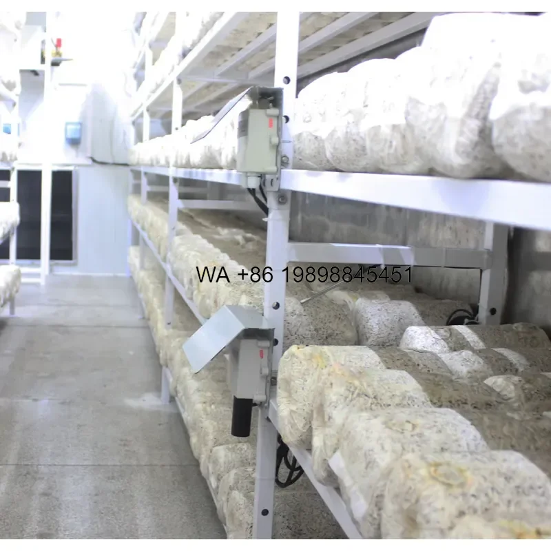 Wmwmnu Turnkey Smart Mushroom Growing Container with Automatic Climate Control System Complete Mushroom Farm Cultivation