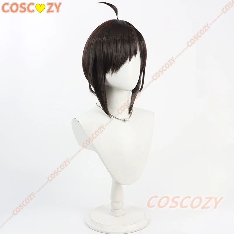 Fate fgo misterioso ranmaru x peruca cosplay misterioso ranmaru x 30cm curto marrom escuro peruca resistente ao calor cabelo sintético dia das bruxas