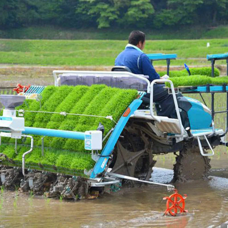 Automatic rice seedling transplanter Seedling equipment Hand-held seedling transplanter