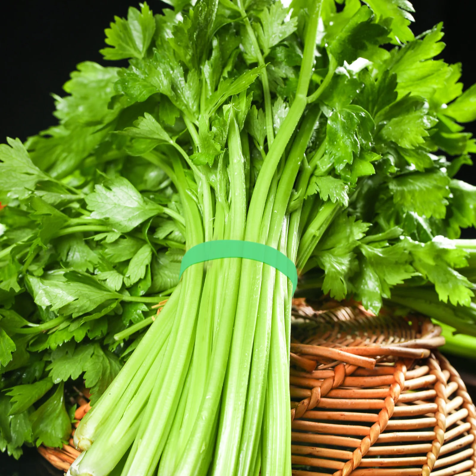 12 Pcs Binding Machine Sealing Tape Packaging Bags Tying Tapes Refills Bopp Packing