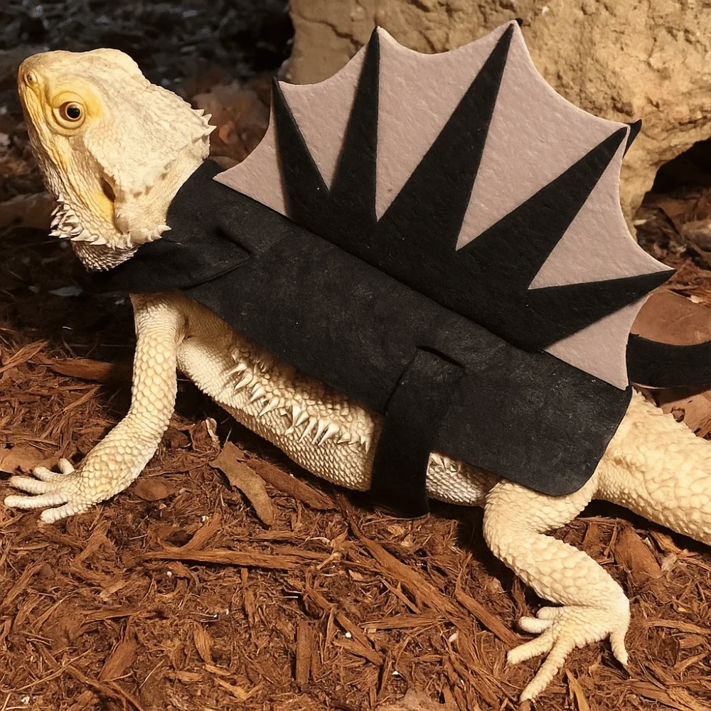 

Stegosaurus Lizard Costume Toy Thorn Dragon 3 Straps Dinosaur Shape Lizard Cloth Funny Realistic Creative Reptile Apparel
