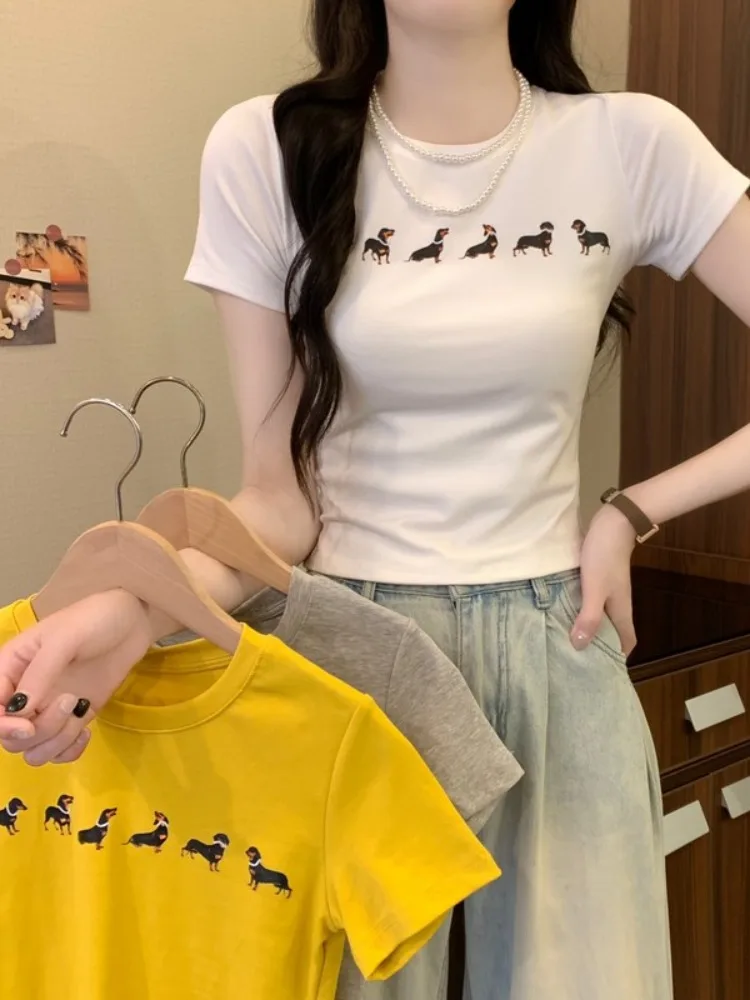 T-shirt ort Sve con stampa cane bassotto carino T-shirt estiva da donna slim fit in cotone rotondo Ne Top oulder Lunghezza Youth Sle