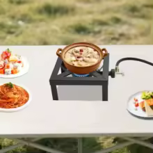 Outdoor Double Burner Propane Camp Stove