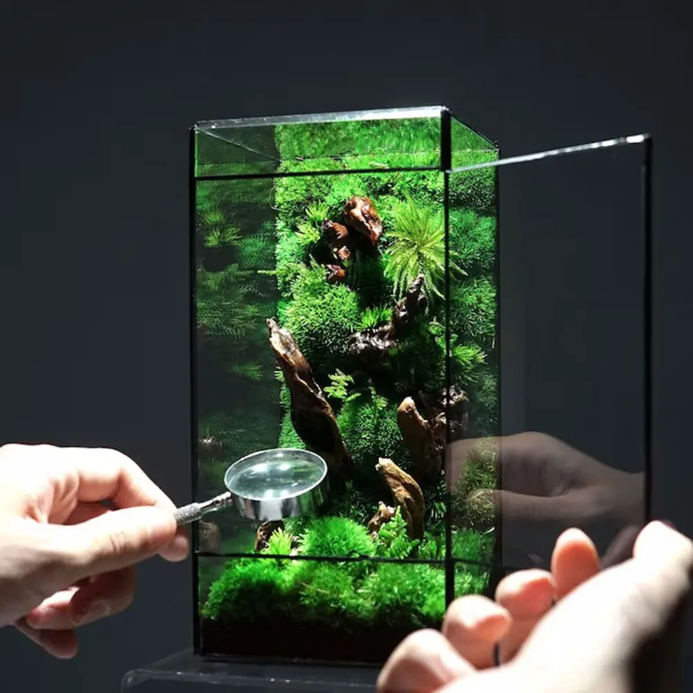 

Glass Terrarium for Plants Small Desktop Micro Landscape Planter Box with Modern Decorative Container for Home Office