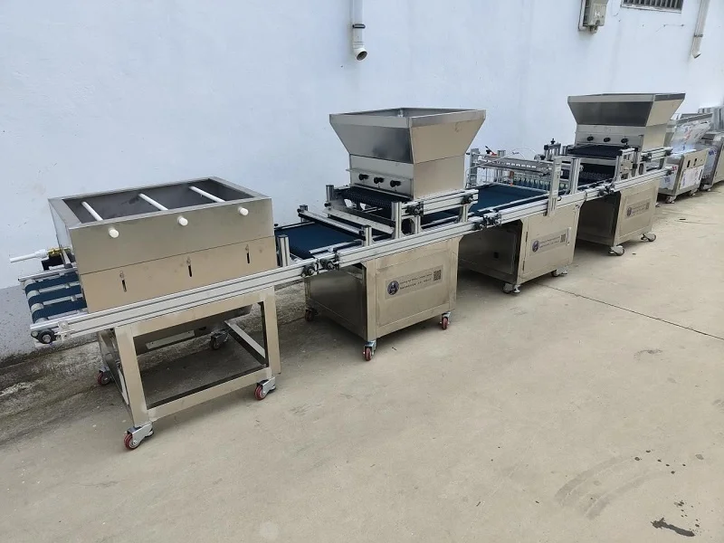 Factory Selling Automatic Seeds Sowing Machine for Seedling Plug Tray Seeder