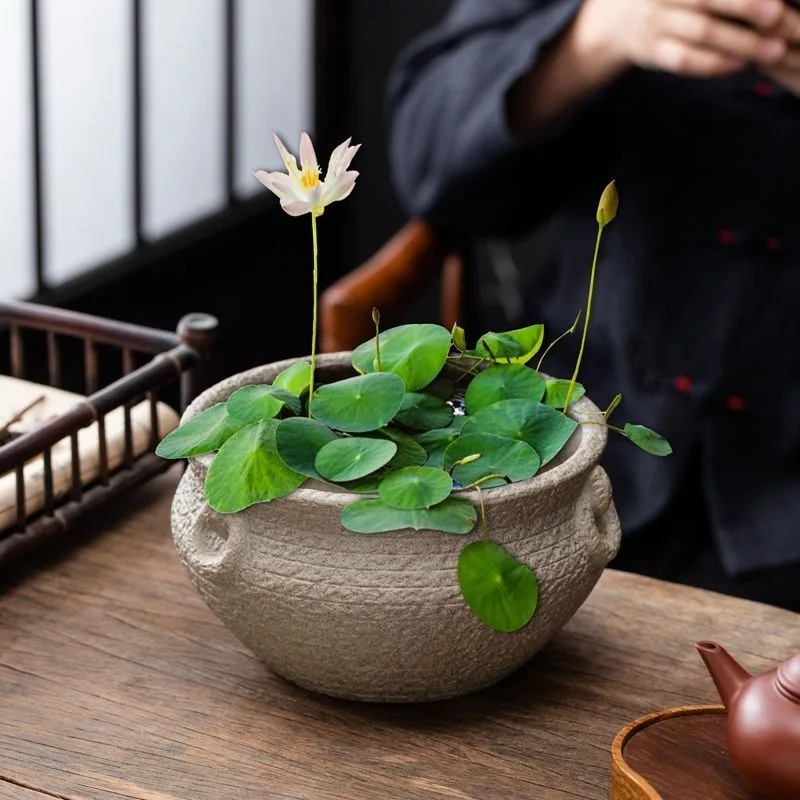 Ceramics Flower Pots Indoor Decor Copy Stone Pot Aquatic Plants Applicable Outdoor Water Planting Home Gardening Supplies