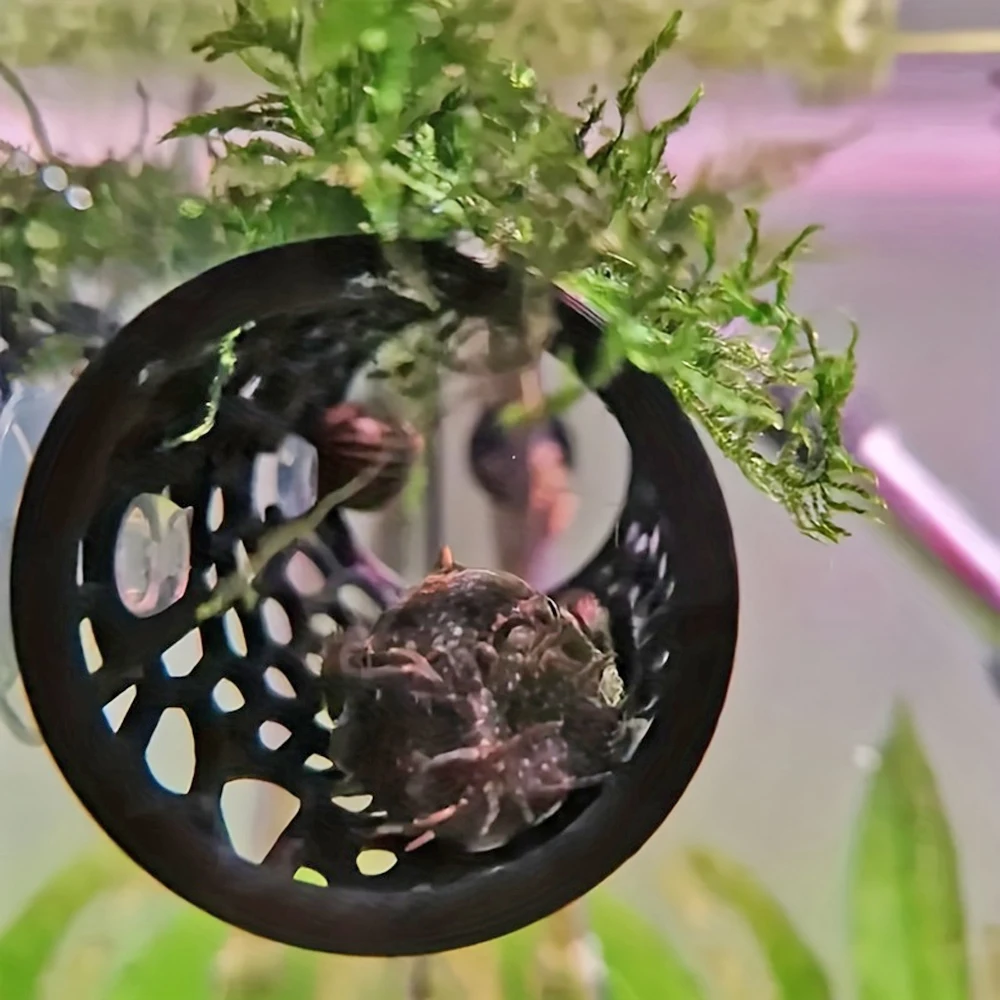 1 Pc Betta Fish Tunnel Toy Hollow Sleeping Tube with Suction Cup Betta Hammock Hidden Resting Tube for Fish Tank Decorations