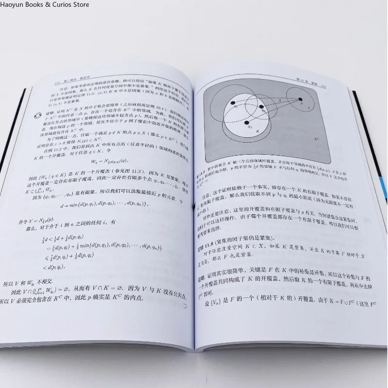 رفيق الأمير للتحليل الرياضي، وضع مؤسسة قوية في الرياضيات، والرياضيات والمنطق، والكتاب المدرسي #2