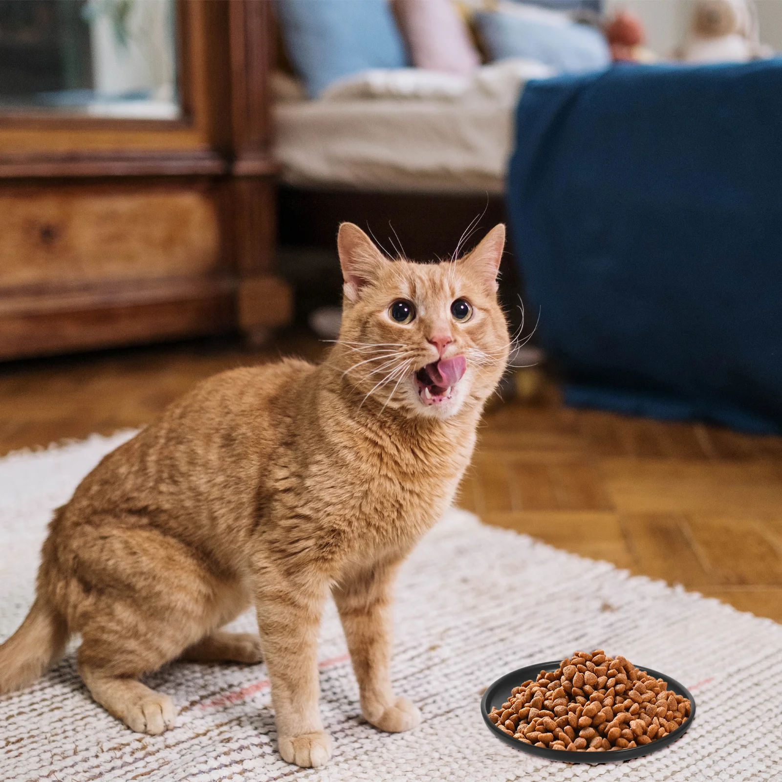 

Ceramic Cat Bowl Smooth Design Easy Clean Durable Pet Feeding Dish Large Capacity Gift for Pet Lovers Cat Bowls