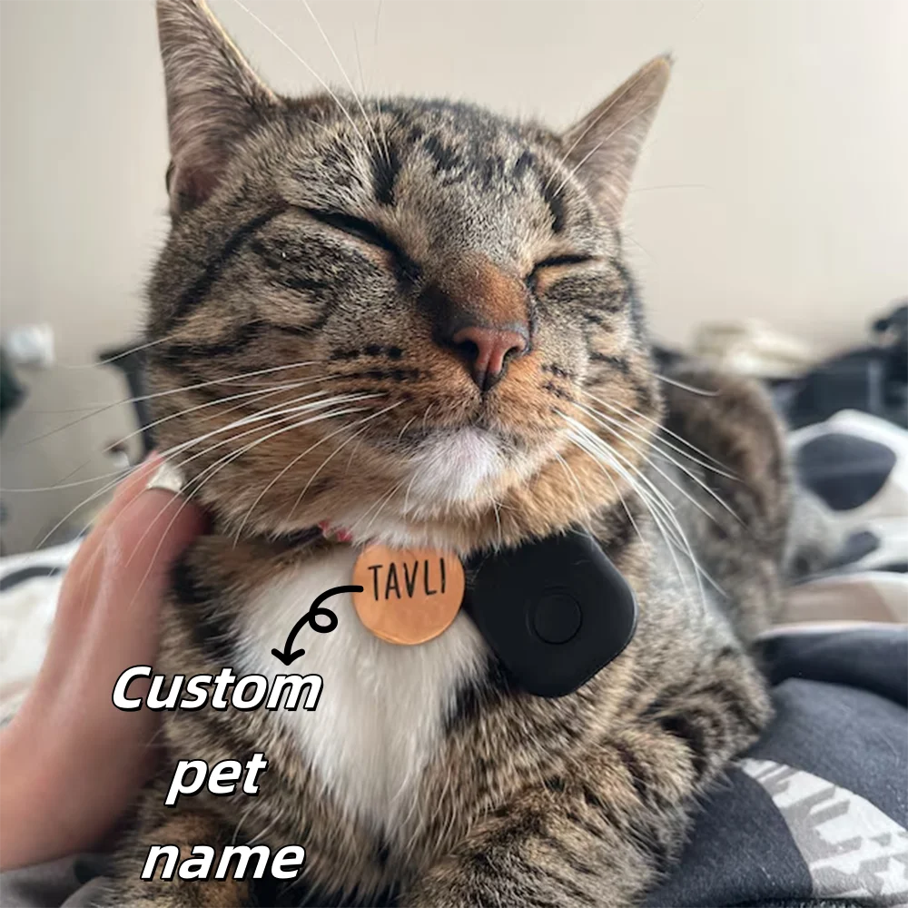 

Customized Personalized Pet ID Nameplate Round Stainless Steel Pet ID Plate Suitable for Large Medium and Small Cats and Dogs
