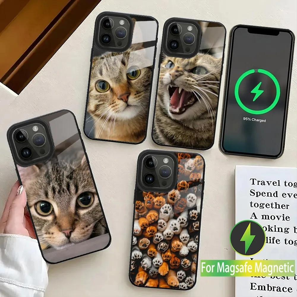 Tabby Cat Cute Paw Phone Case For iPhone 16,15,14,13,12,11,Plus,Pro,Max Mini Magsafe Magnetic Wireless Charging