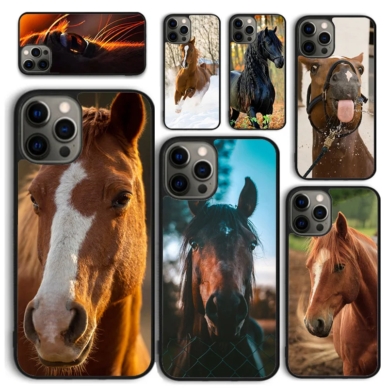 Frederik The Great beauty horse Phone Case for iPhone 16 15 14 12 13 mini PLUS X XS XR 11 PRO MAX Cover Fundas Shell