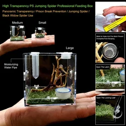 Small Reptile Breeding Box Transparent Acrylic Cage Habitat Insect Breeding Box Small Glass Container Container Jumping Spider