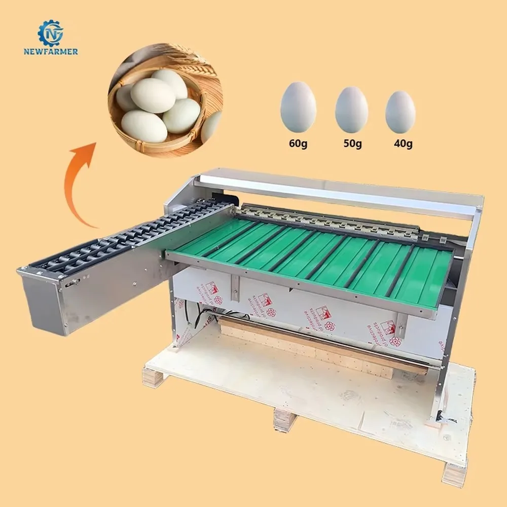 Automatic Egg Grading Machine 5 Levels Egg Grader Sorter Dryer Poultry Farm Equipment Egg Packer