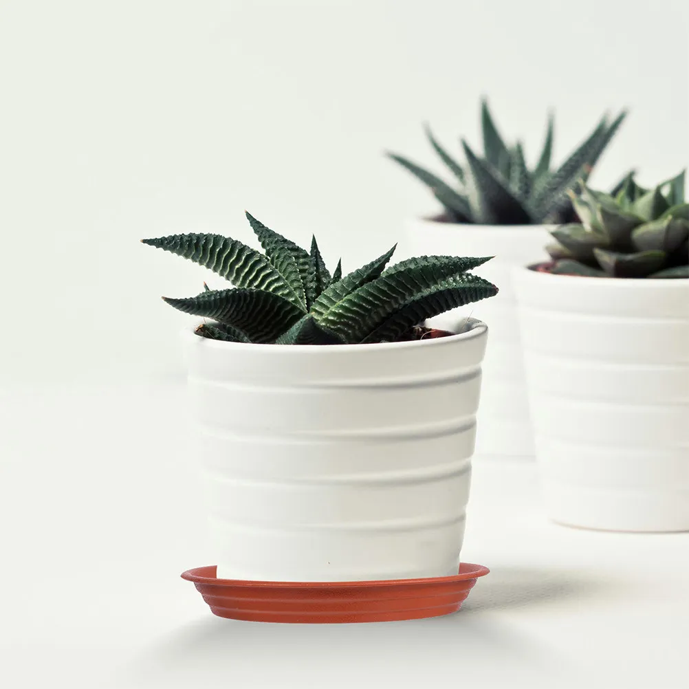 6Pcs Thickened Plant Pot Saucers 17Cm Inner 22Cm Outer Red Clay Look Flower Pot Bottom Trays Water Catcher Drip Tray for Indoor