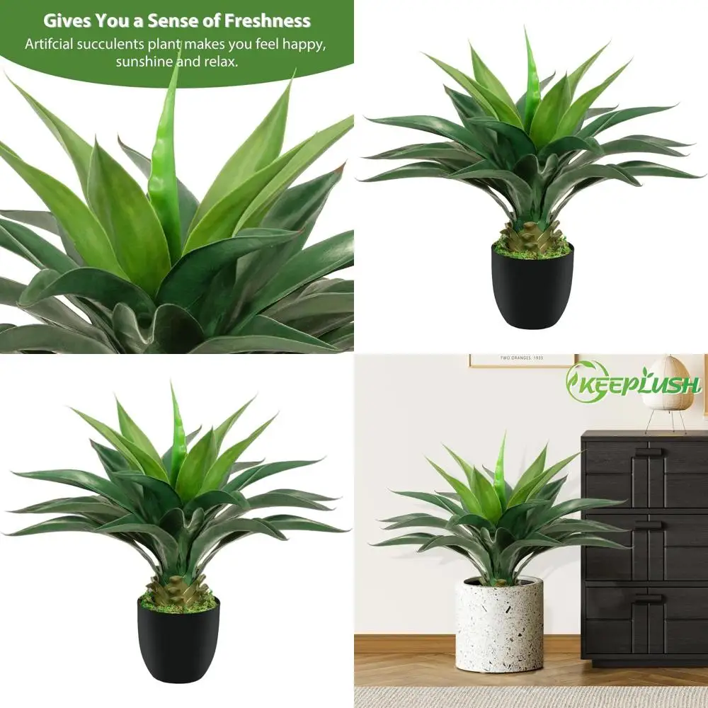 

2ft Tall Artificial Aloe Vera Plant with Fake Grass for Indoor and Outdoor Desert Style Decor